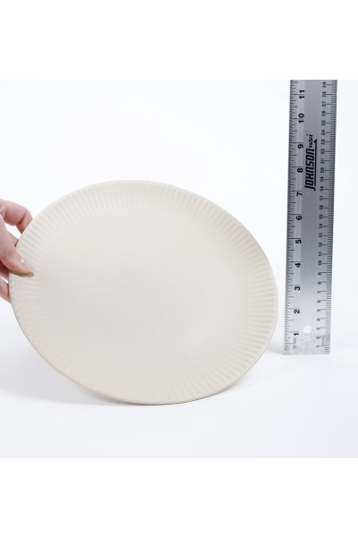 Cream Plate Rigged Edge (4)